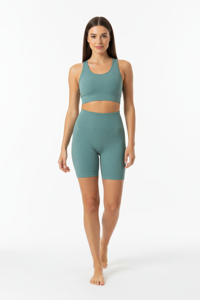 Seamless High Waist Sports Shorts Sheyln