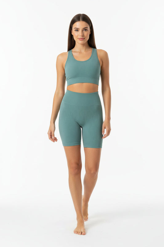 Seamless High Waist Sports Shorts Sheyln